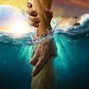 Meet your Posher, Marjie